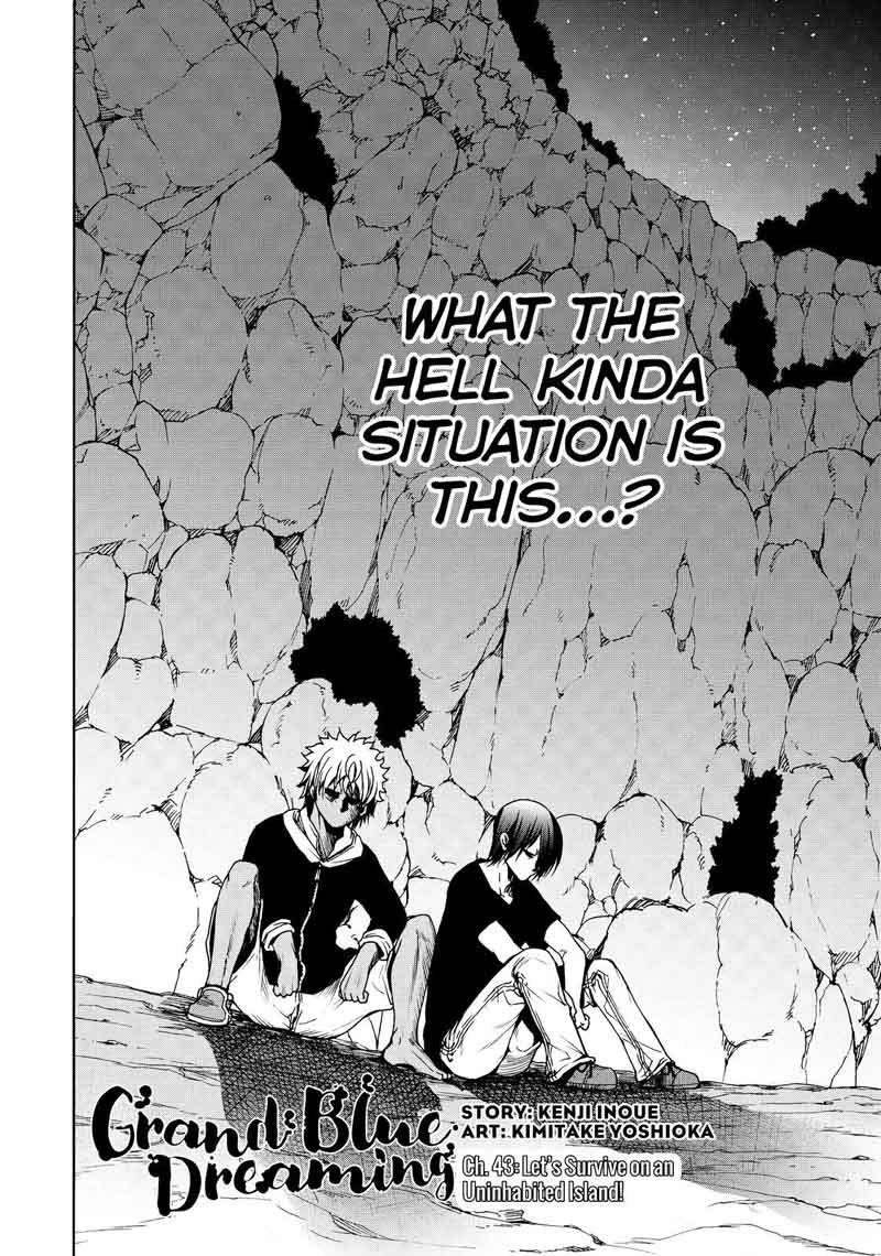 Grand Blue Manga Chapter 43 page 2 - Let's Survive on the Uninhabited Island! scene